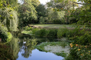 River Mole- click for photo gallery